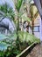 21 Edinburgh Street, Newton, Auckland City, Auckland - Carousel 26