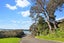 2/17 Oliver Street, Point Chevalier, Auckland City, Auckland - Carousel 12