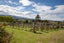 376C Earnscleugh Road, Earnscleugh, Alexandra - Carousel 33