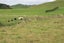 991 East Road, Toko, Stratford - Carousel 31