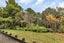 255 Pigs Head Road, Whakapara, Hikurangi - Carousel 23