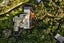 287 Muritai Road, Eastbourne, Lower Hutt - Carousel 27