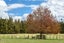 205C Ingram Road, Drury - Carousel 2