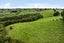 8 Suzanna Lane, Ramarama, Franklin, Auckland - Carousel 9