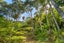 83 Fairview Crescent, Omiha, Waiheke Island - Carousel 10