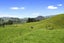 857A Poutakataka Road, Rotorua - Carousel 26