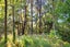 248 Hursthouse Street, Lower Moutere, Upper Moutere - Carousel 22