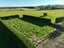 60 Forest Hill Cemetery Road, Lochiel, Winton - Carousel 7