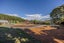 7 Hopkins Street, Cromwell - Carousel 17