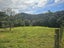 Lot 2, 675 Gorge Road, Maungaturoto, Kaipara, Northland - Carousel 29
