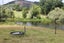 893E Puketona Road, Haruru - Carousel 13