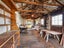 731 Pyes Pa Road, Pyes Pa, Tauranga - Carousel 16