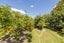 36 Kaiapo Road, Camberley, Hastings - Carousel 5