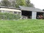 282 Back Track, Rakaia - Carousel 27