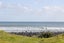387 Tipoka Road, Opunake - Carousel 30