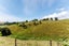 609A Stanley Road, Wainui, Opotiki - Carousel 31