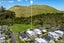 3 Papango Street, Stonefields, Auckland - Carousel 3