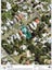 17 Mangapapa Road, Mangapapa, Gisborne - Carousel 21