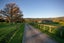 210C Okauia Springs Road, Okauia, Matamata - Carousel 4