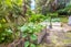 38 Bay Road, Ostend, Waiheke Island - Carousel 16