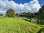 1556 Te Matai Road, Te Ranga, Te Puke - Carousel 27