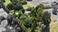 89B Hawthornden Drive, Tikitere, Rotorua - Carousel 30