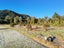 14 Pioneer Drive, Franz Josef Glacier - Carousel 5