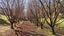 9 Harmans Track, Little River, Little River - Carousel 32