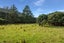 19 Mountain View Road, Morningside, Auckland - Carousel 42