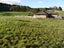 158 Te Tahi Road, Puketotara, Pirongia - Carousel 17