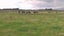 0 State Highway 1, Himatangi, Foxton - Carousel 6