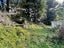 38 Ruhi Road, Dannevirke - Carousel 25