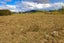 0 Falls Road, Waerenga, Te Kauwhata - Carousel 4