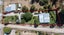 48 Letts Gully Road, Letts Gully, Alexandra - Carousel 26