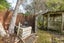 106 Stagecoach Road, Upper Moutere - Carousel 44