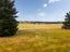 17 Campbell Drive, Martinborough - Carousel 4