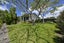 1/3 Miro Street, Helensville, Helensville - Carousel 2