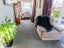111 Tarbert Street, Alexandra - Carousel 10