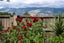323 APPLEBY Highway, Appleby, Nelson - Carousel 50