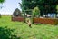 510 Whatawhata Road, Temple View, WHATAWHATA - Carousel 35