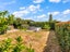 16 Crake Street, Te Kauwhata, Te Kauwhata - Carousel 28