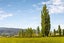 Lot  6 Luggate-Cromwell Road, Cromwell, Central Otago, Otago - Carousel 10