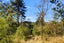 248 Hursthouse Street, Lower Moutere, Upper Moutere - Carousel 23