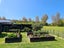 71 Golden Shore Place, Coromandel - Carousel 12