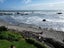 0 State Highway 6, Barrytown, Greymouth - Carousel 19