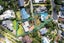 30 Upper Chelverton Drive, Red Beach, Red Beach - Carousel 25