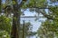 109C Pah Road, Cockle Bay, Manukau City, Auckland - Carousel 32