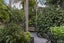 38 Norfolk Street, Ponsonby, Auckland - Carousel 24