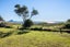29 Waterford Avenue, Ohope, Ohope - Carousel 6