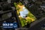 7 Bayside Avenue, Te Atatu Peninsula, Auckland - Carousel 1